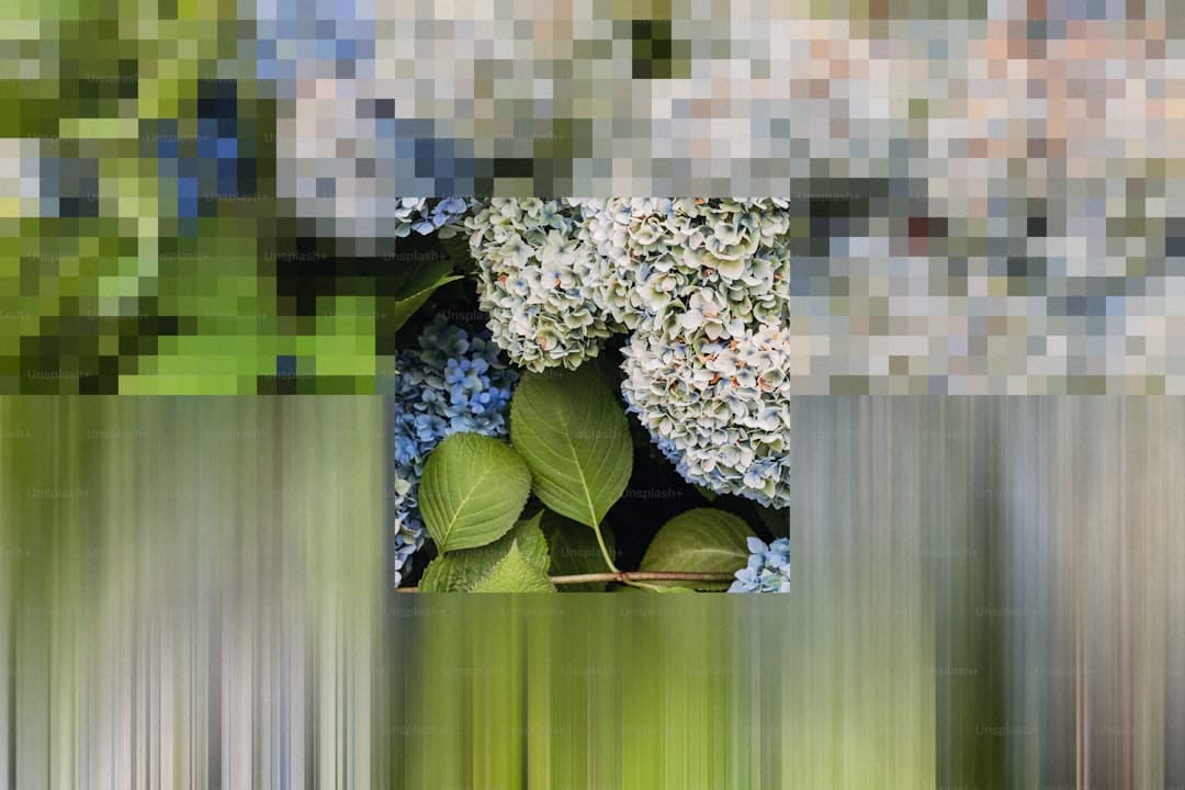 长泰“老兵”:戎装虽解 守护未歇